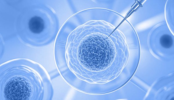 ���ݿ���(���Ρ�ku��)�ٷ���վ